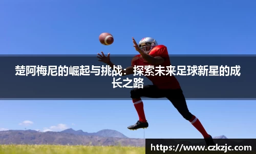 米兰体育